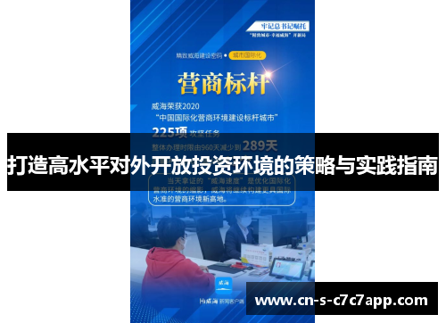 打造高水平对外开放投资环境的策略与实践指南 打造高水平对外开放投资环境的策略与实践指南