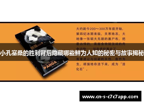 小孔塞桑的胜利背后隐藏哪些鲜为人知的秘密与故事揭秘